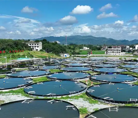 田地